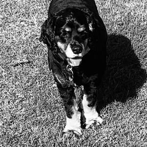 Meet your Posher, Jeff